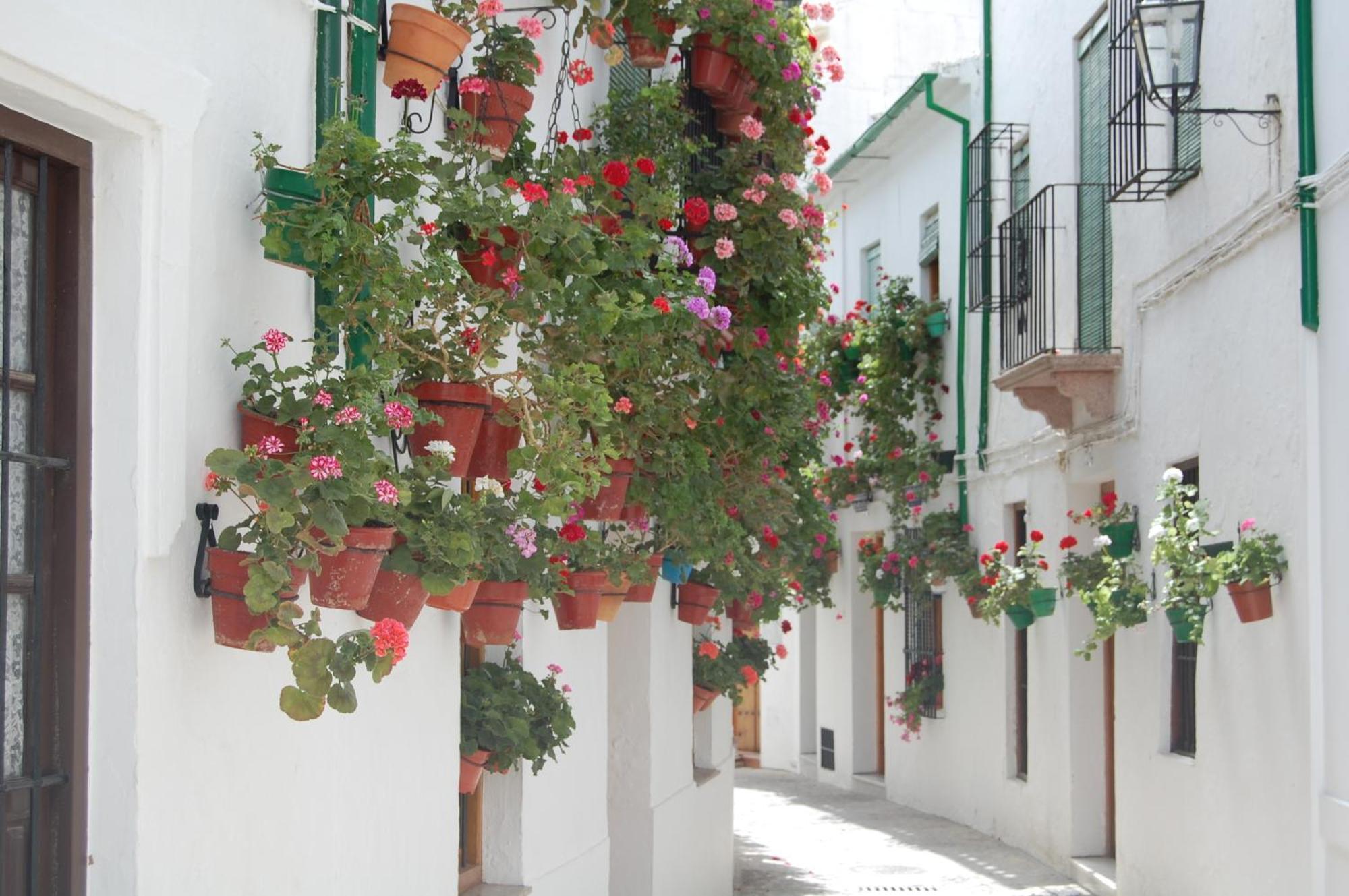 Casa Banos De La Villa Priego de Córdoba Dış mekan fotoğraf